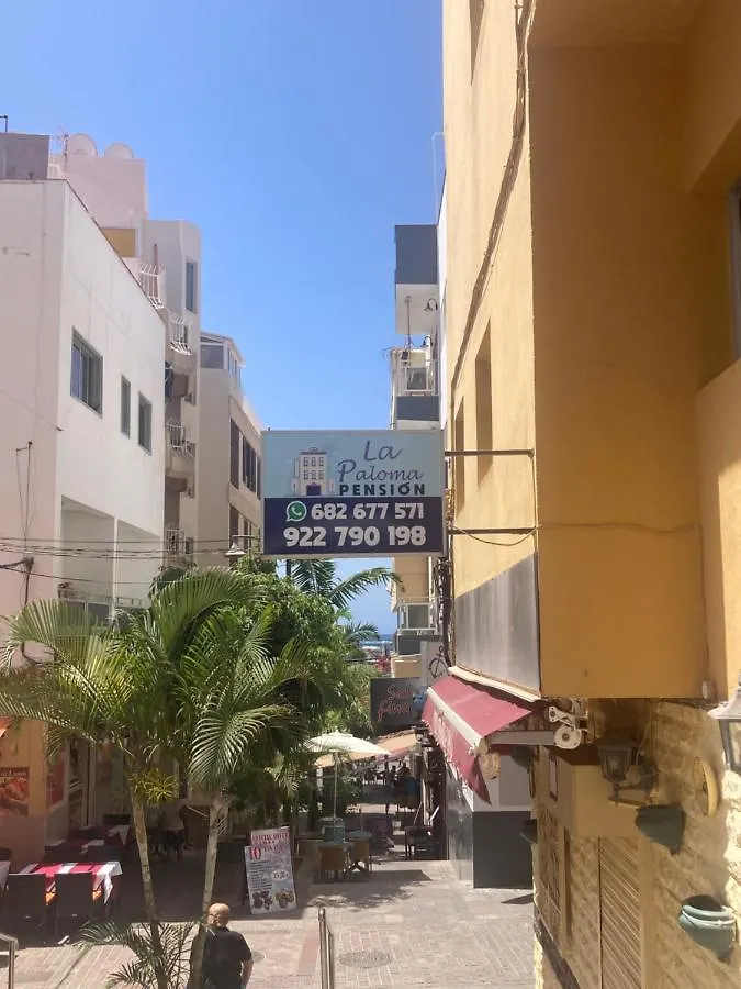 Pensión La Paloma Arona